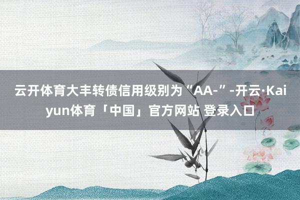 云开体育大丰转债信用级别为“AA-”-开云·Kaiyun体育「中国」官方网站 登录入口