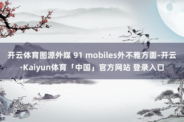 开云体育图源外媒 91 mobiles外不雅方面-开云·Kaiyun体育「中国」官方网站 登录入口