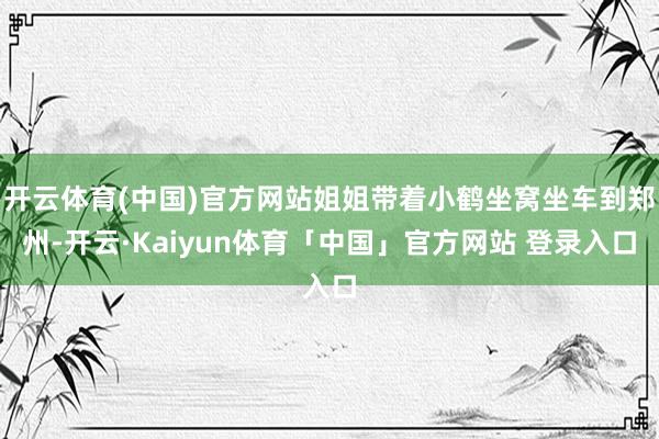 开云体育(中国)官方网站姐姐带着小鹤坐窝坐车到郑州-开云·Kaiyun体育「中国」官方网站 登录入口